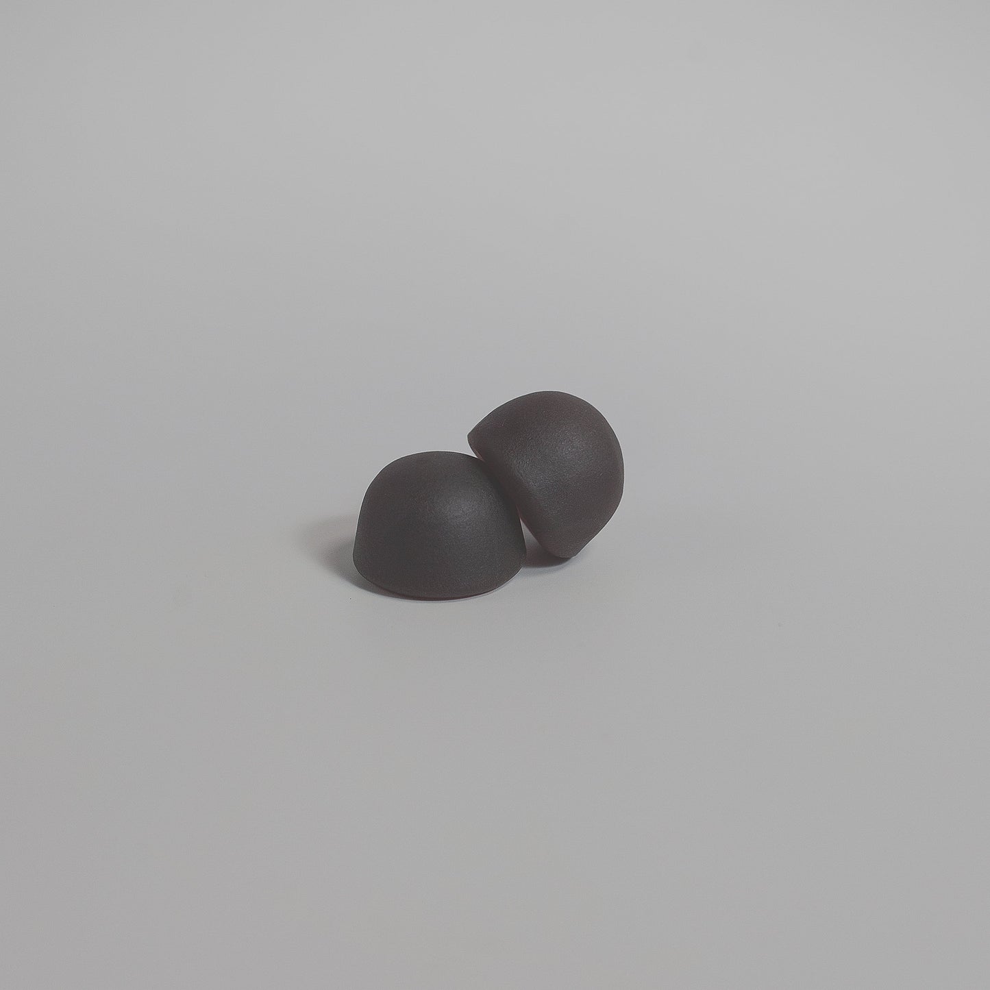 THRIIVELYFE 10 Plex Mushroom Extract Complex with Lions Mane